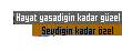 Görüntülenemeyen ODLP kodlu dosya
